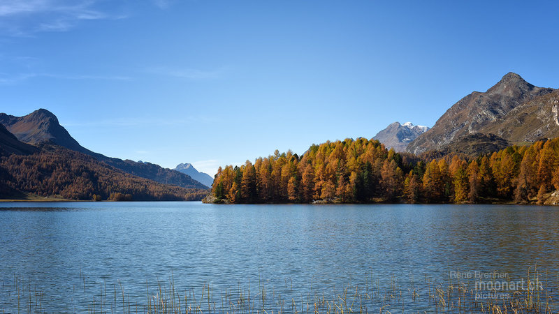 Silsersee